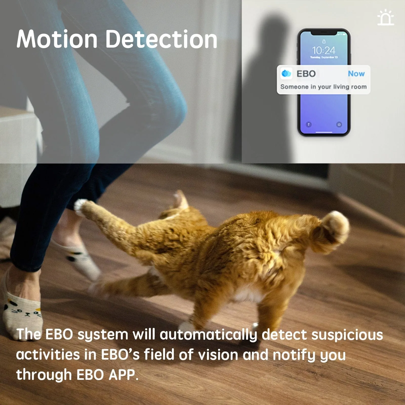 Enabot Home Security Camera Pet Robot with Night Vision