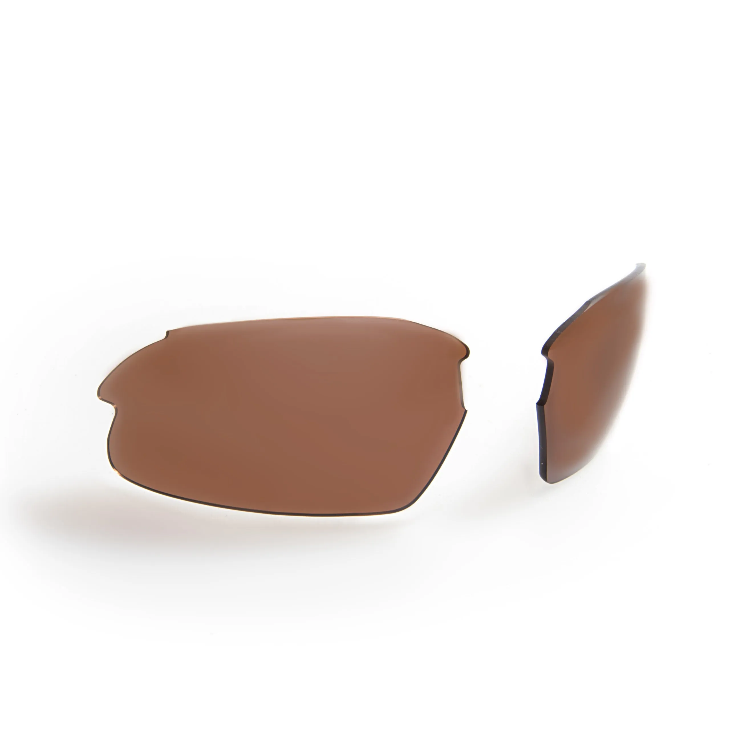 Gidgee Eyes Cleancut Sunglasses - Tortoise