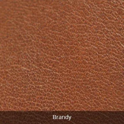 Osgoode Marley Leather Double Eyeglass Case