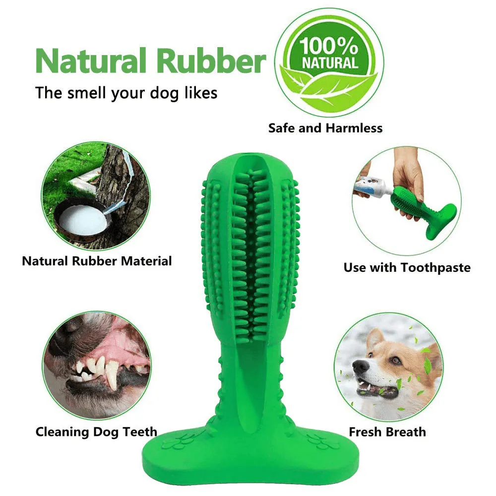 Pawsindia Dental Toy for Dogs (Green)