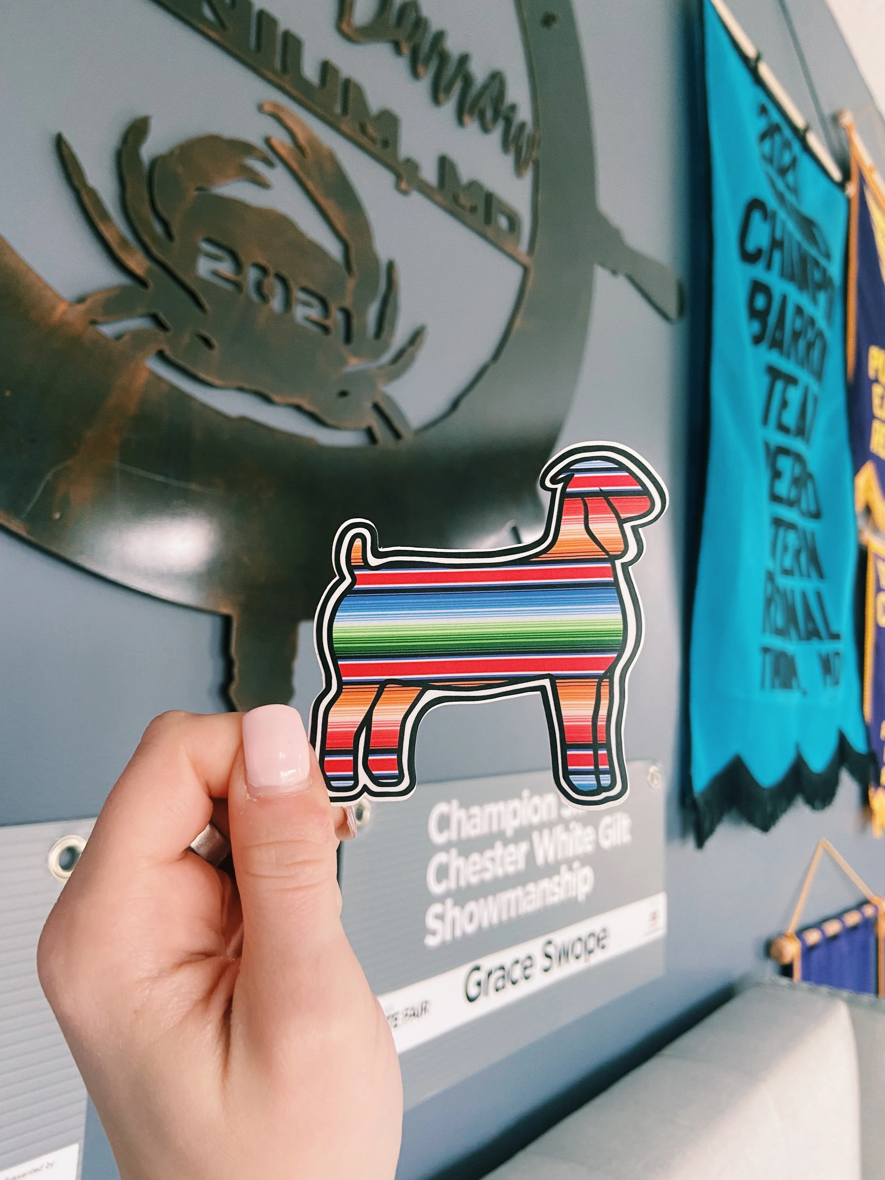 Serape Stickers