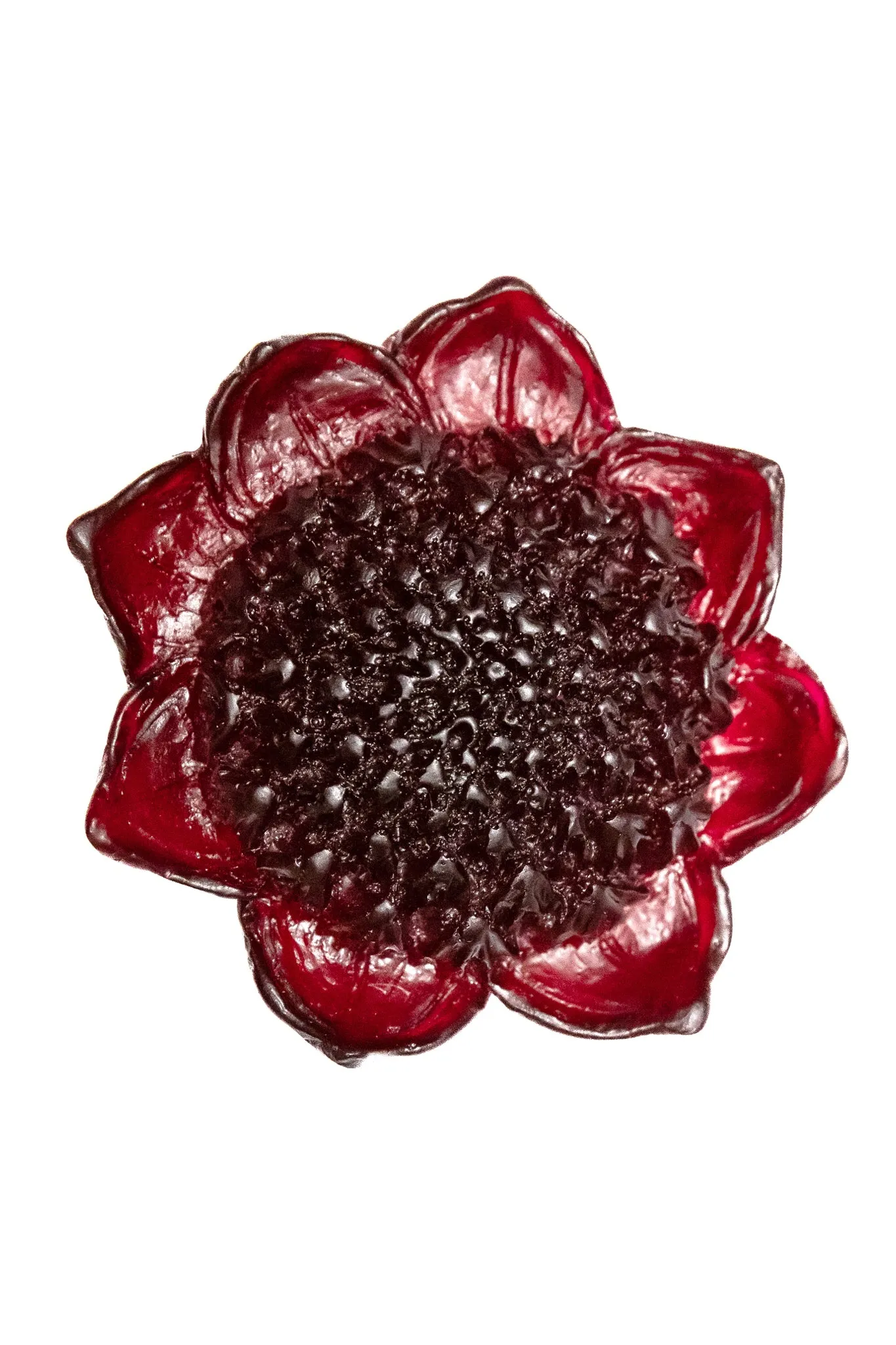 WARATAH BROOCH